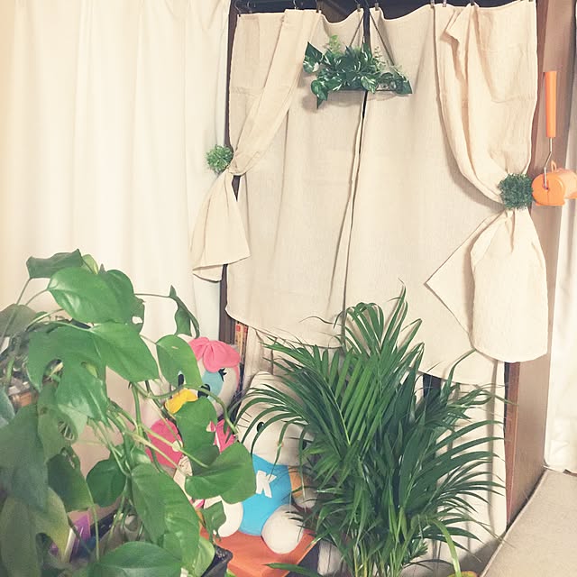 Harumiさんの実例写真