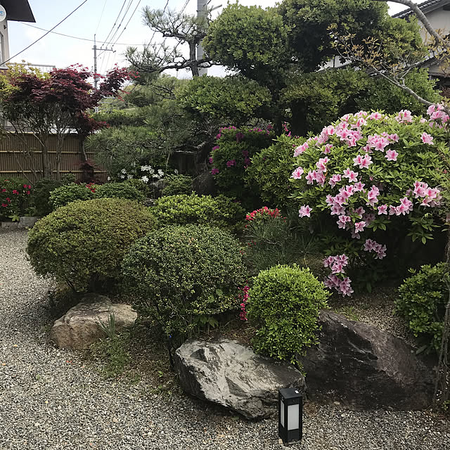 yuu.oさんの実例写真