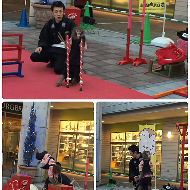 実例写真