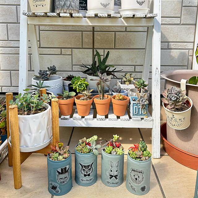 ayaさんの部屋