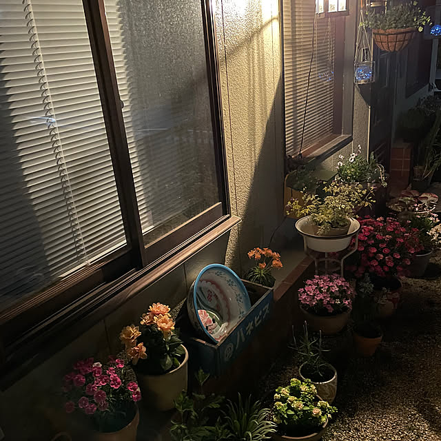 shin0719さんの部屋