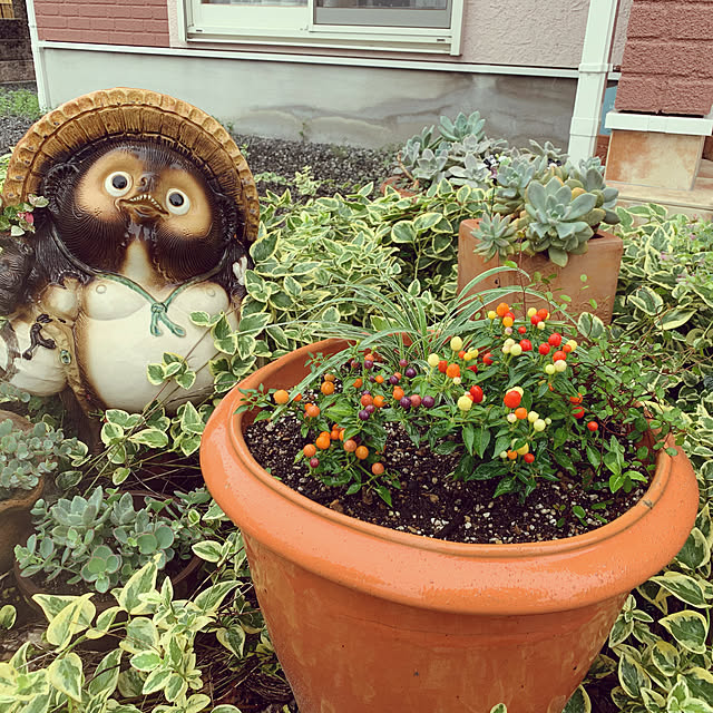 HAPPYさんの実例写真