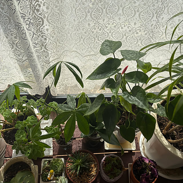 ritsukoさんの部屋