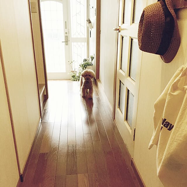 rookuさんの実例写真