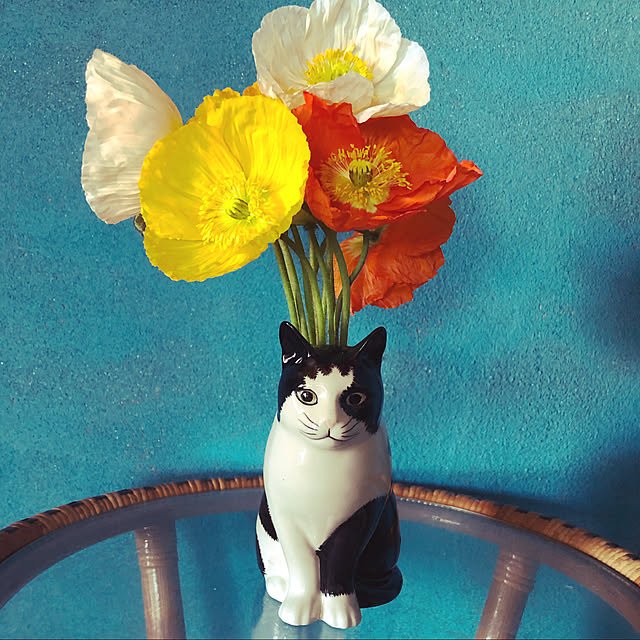 Oreoさんの実例写真