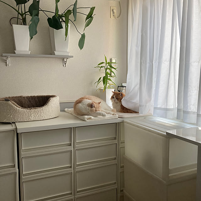 H.Tさんの実例写真