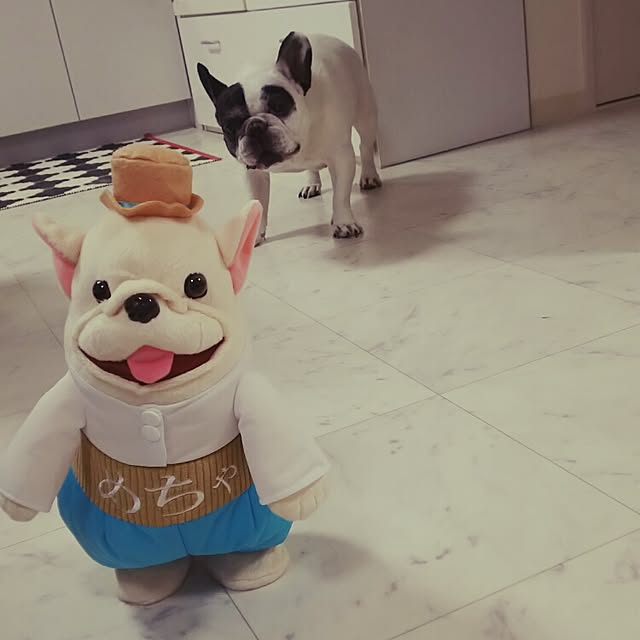 panchobiさんの実例写真