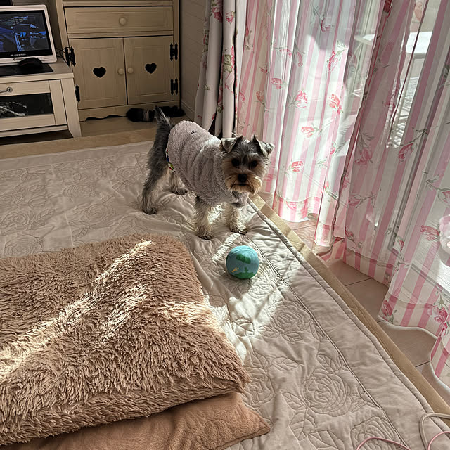 marikoさんの部屋