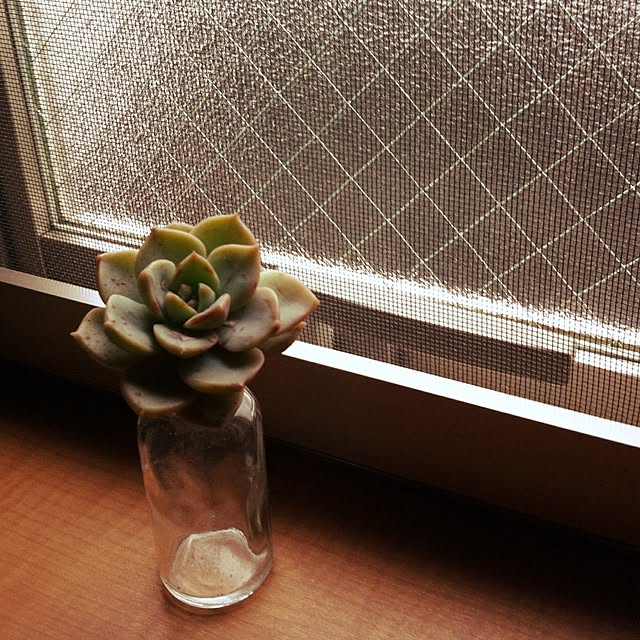 ciao0923さんの実例写真