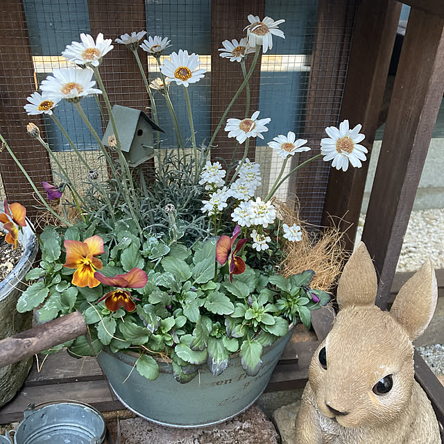 RIKAさんの実例写真