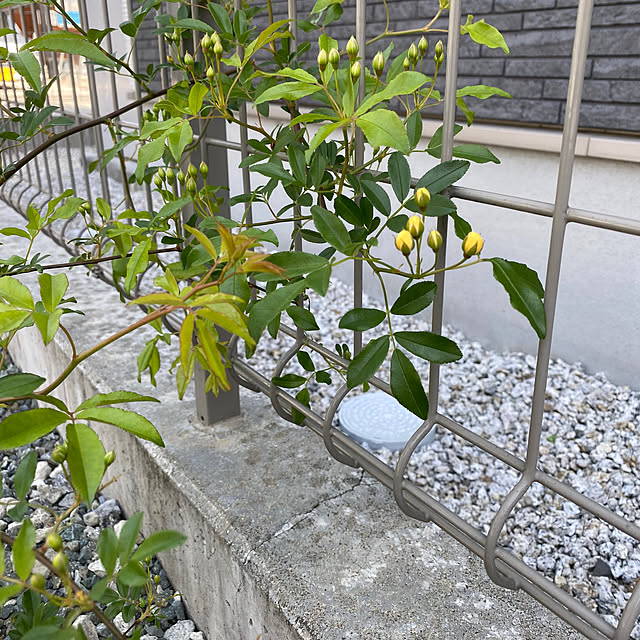 komaさんの実例写真