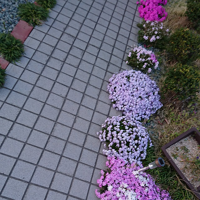akesanさんの実例写真