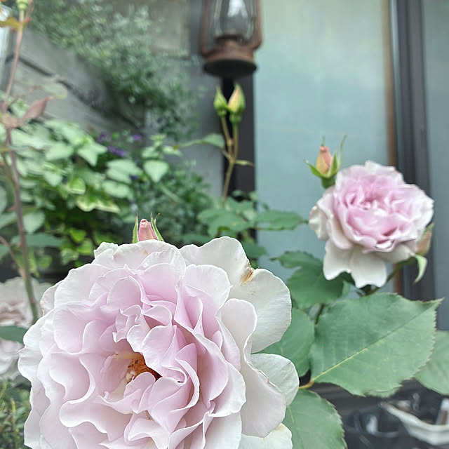 soraさんの部屋