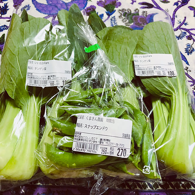 hanachanさんの部屋