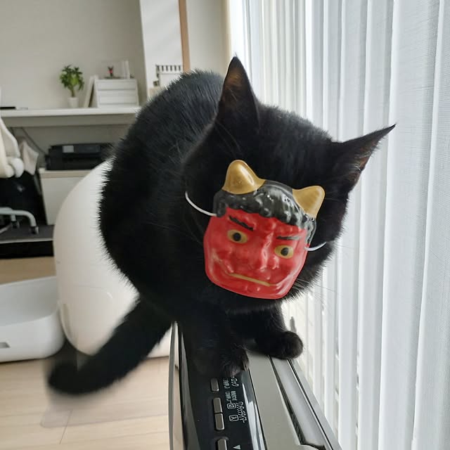 sakuraさんの部屋