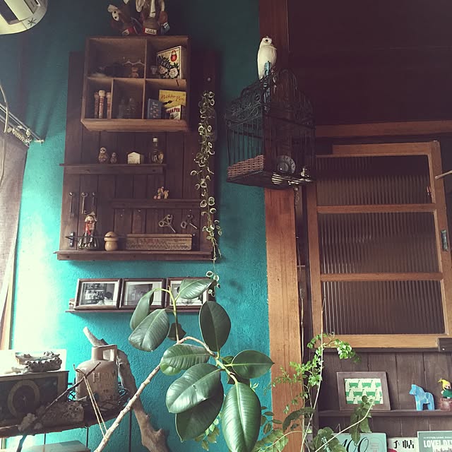 DailyRoomclip
