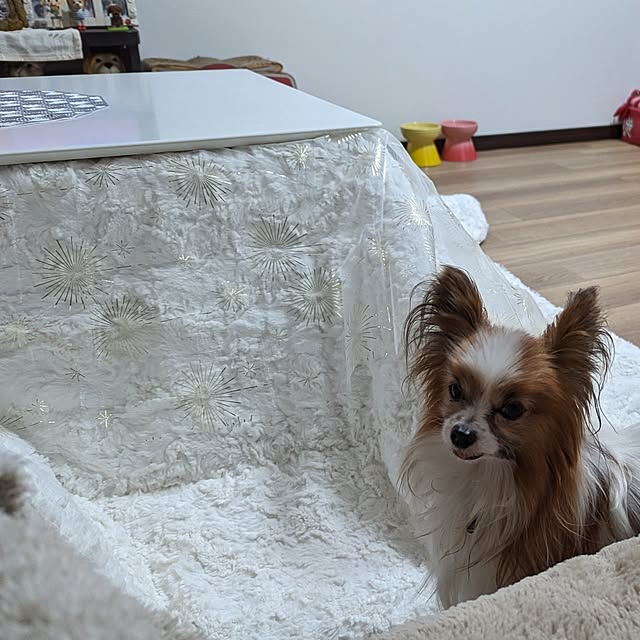 buddykoさんの部屋