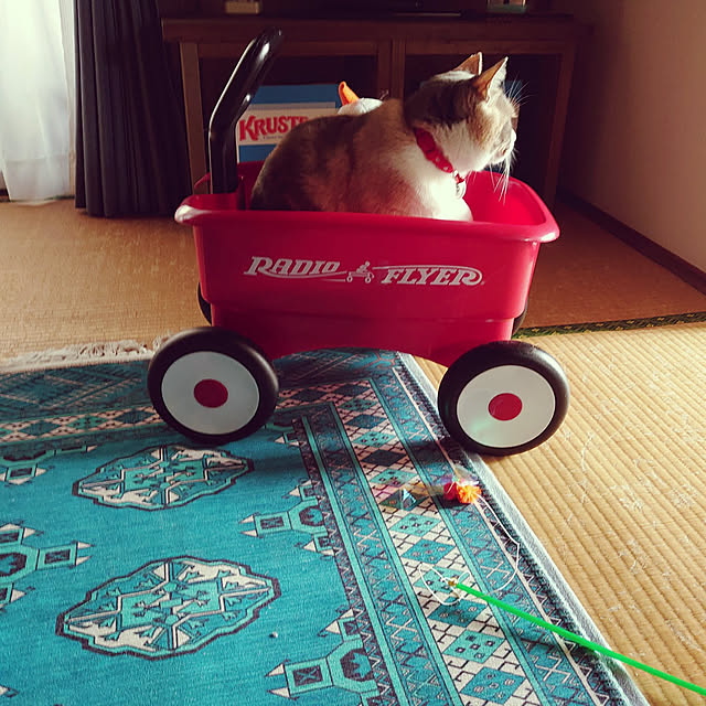 fukuさんの実例写真
