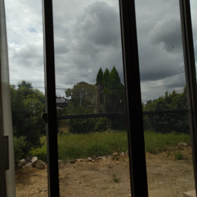 Rieさんの実例写真