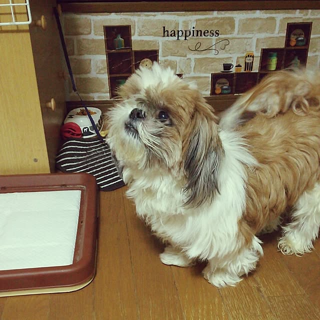 yuwanmama1025さんの実例写真