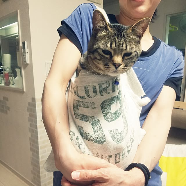 t-famさんの実例写真