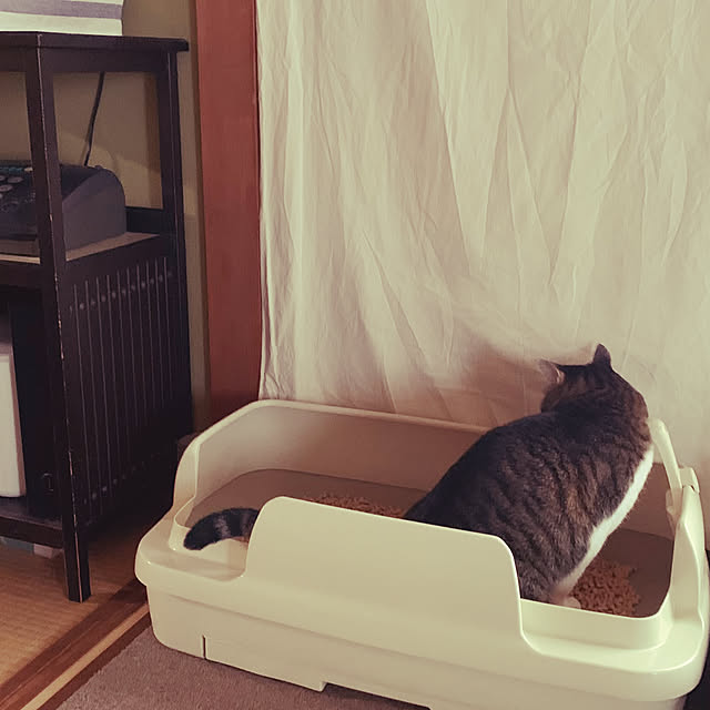 nanohanaさんの部屋