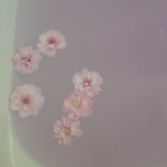 poemwalkさんの実例写真