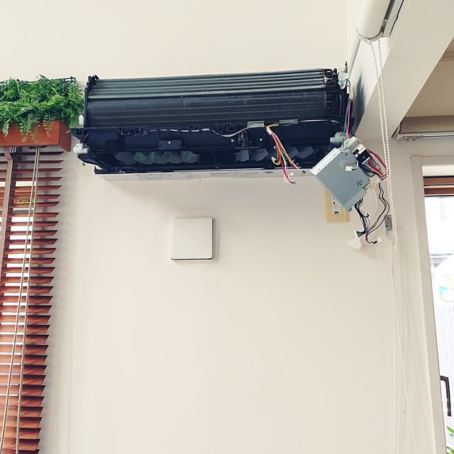 urchinさんの部屋