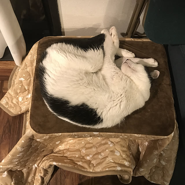 shishaさんの実例写真