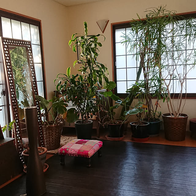 Yumingさんの実例写真
