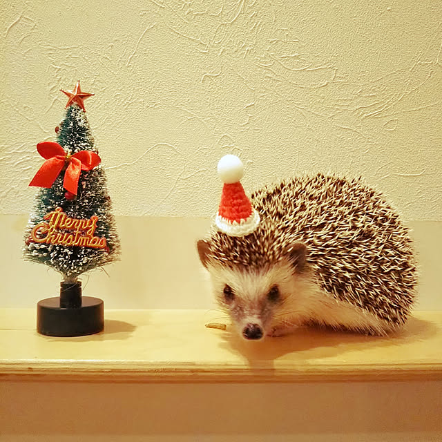 MMYSさんの実例写真