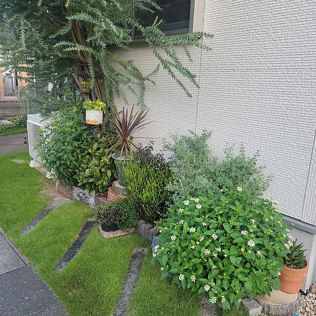 masarinn.さんの実例写真