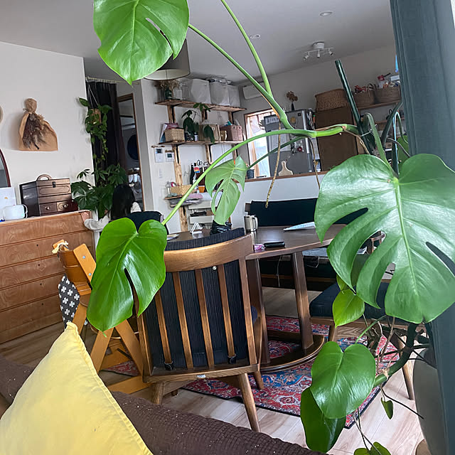 kotaroさんの実例写真