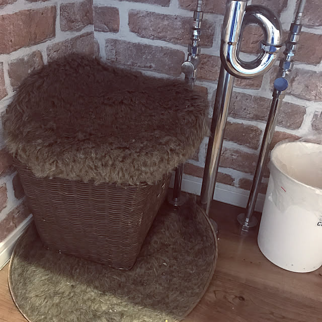 Sachiさんの実例写真