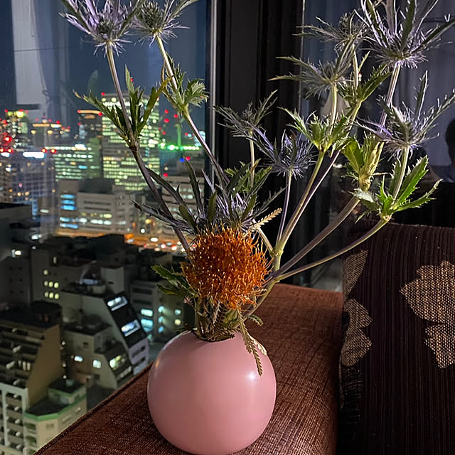 anさんの実例写真