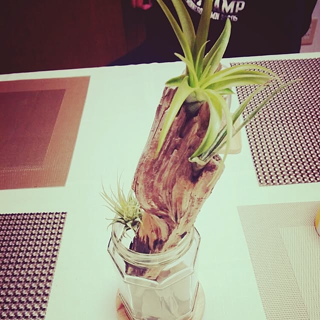 ayakaさんの実例写真
