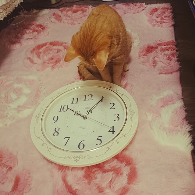fu-ka24さんの実例写真