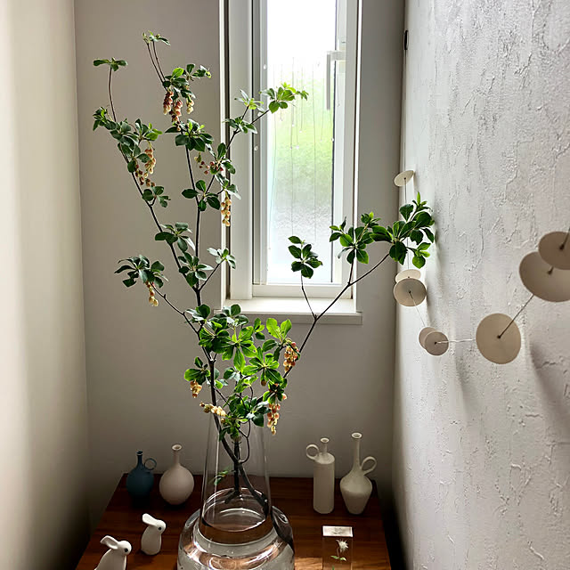 yoppiさんの部屋