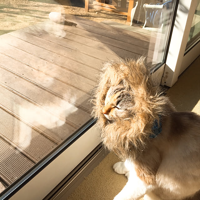 nanaさんの実例写真