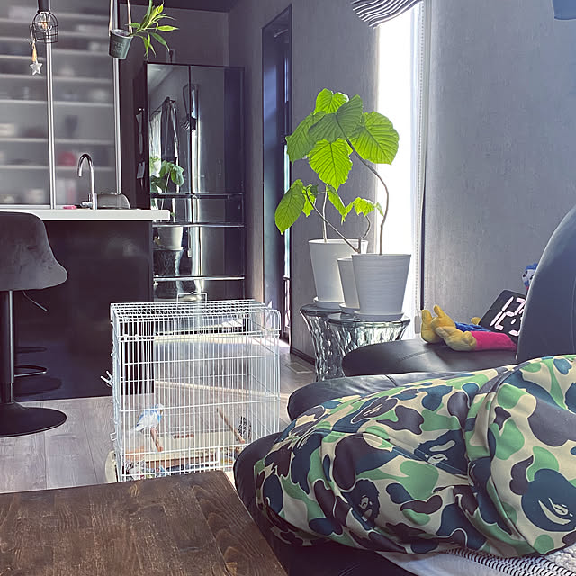 remonさんの実例写真