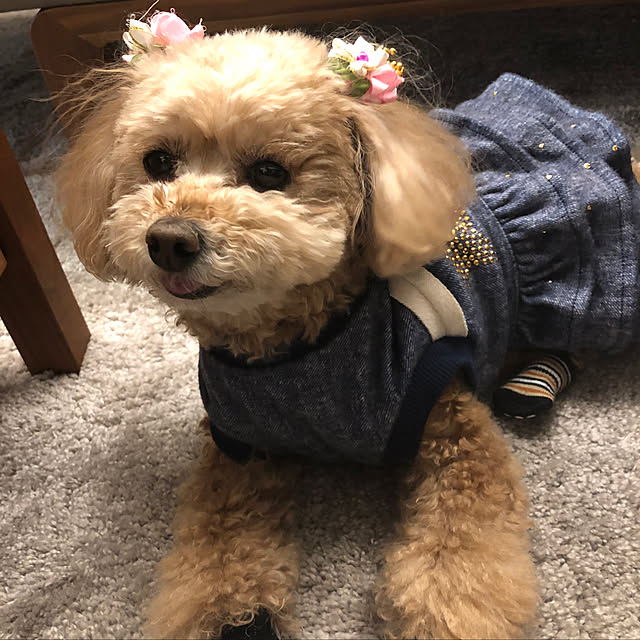 coronさんの実例写真
