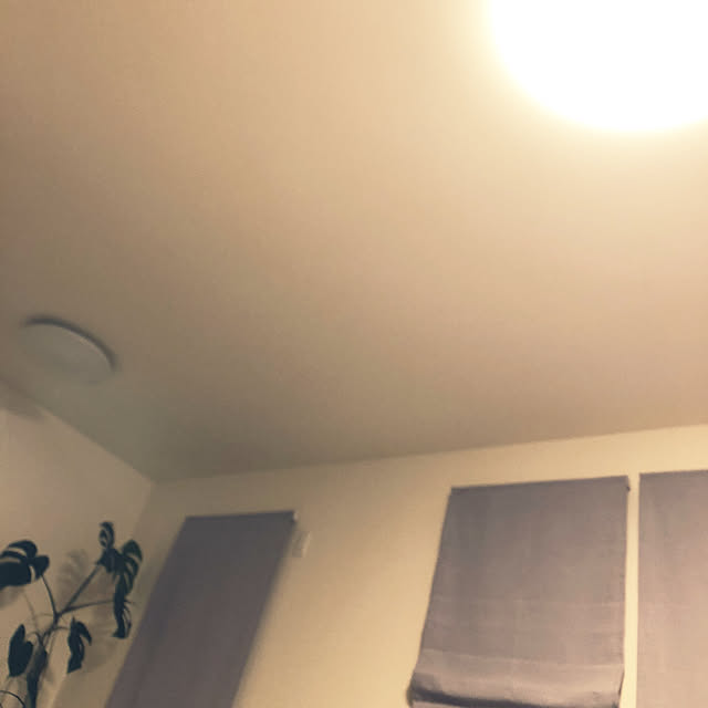 riseruさんの実例写真