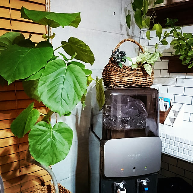 Rikokkumamaさんの実例写真