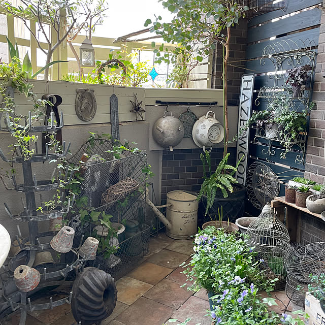 mamisazさんの部屋