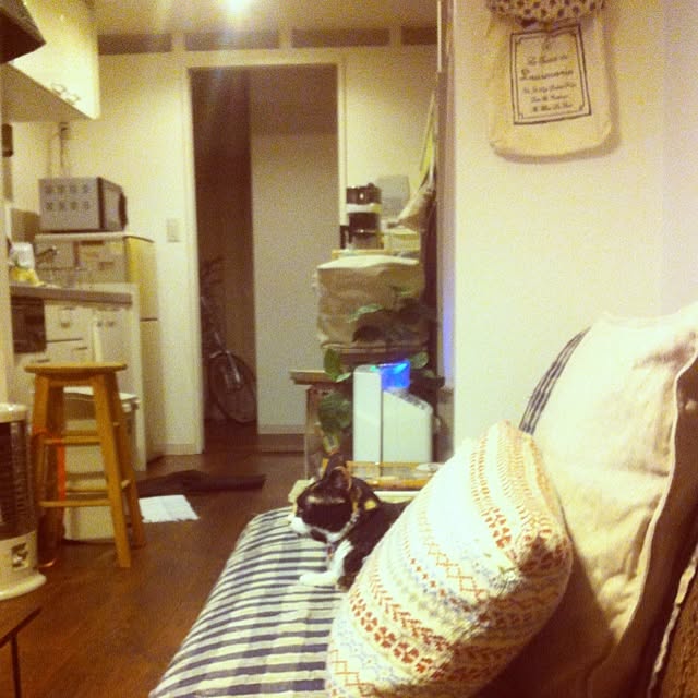 Rieさんの実例写真