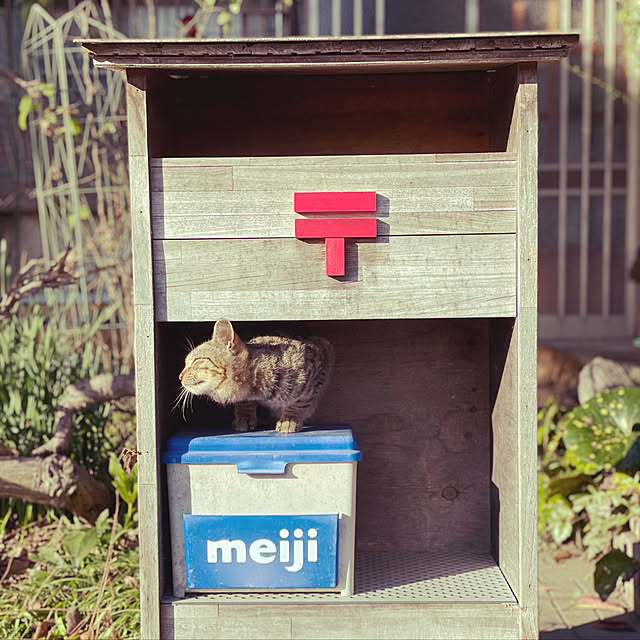 hayanokoheiさんの実例写真