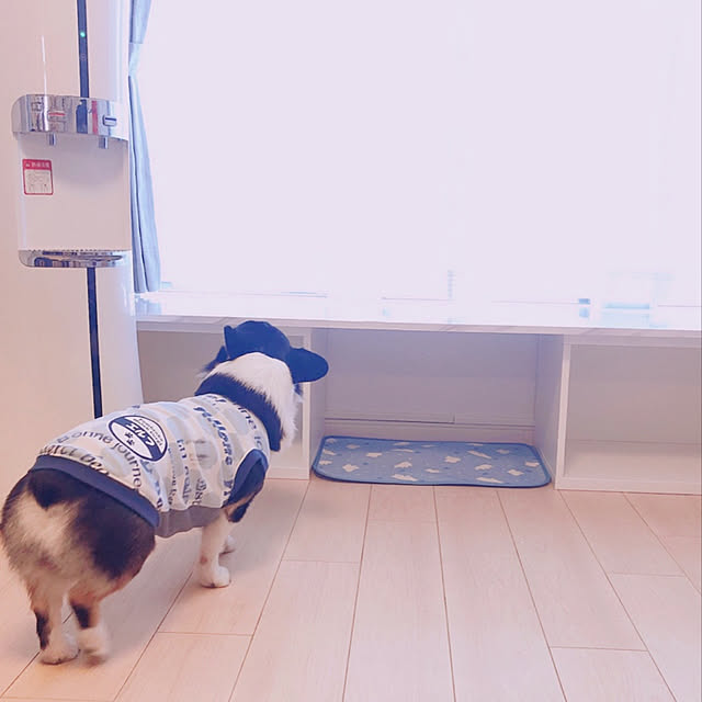 Ruiさんの実例写真