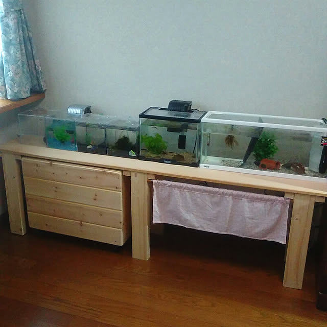 takekunさんの実例写真