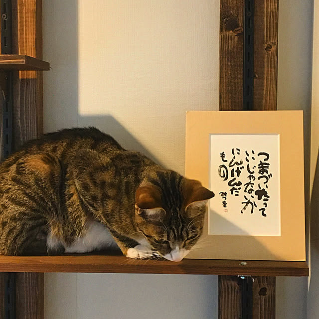 nobikoさんの実例写真