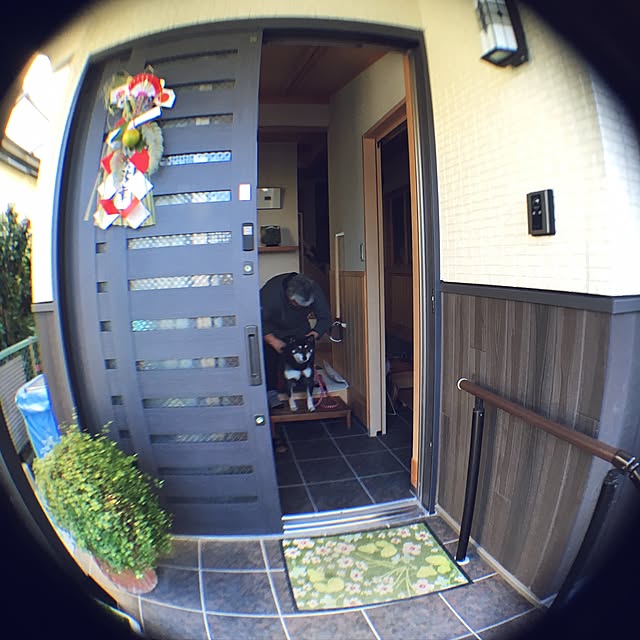 実例写真